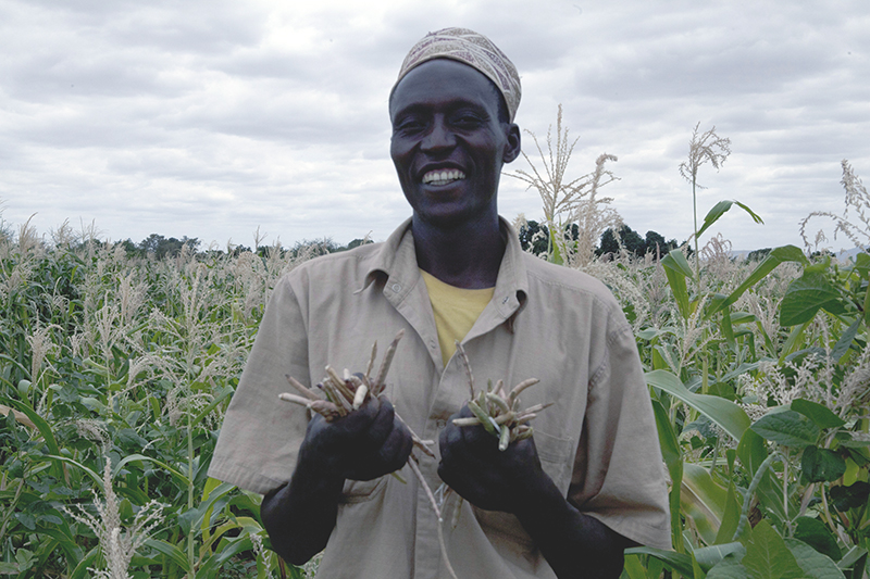 Man planting crops in Kenya