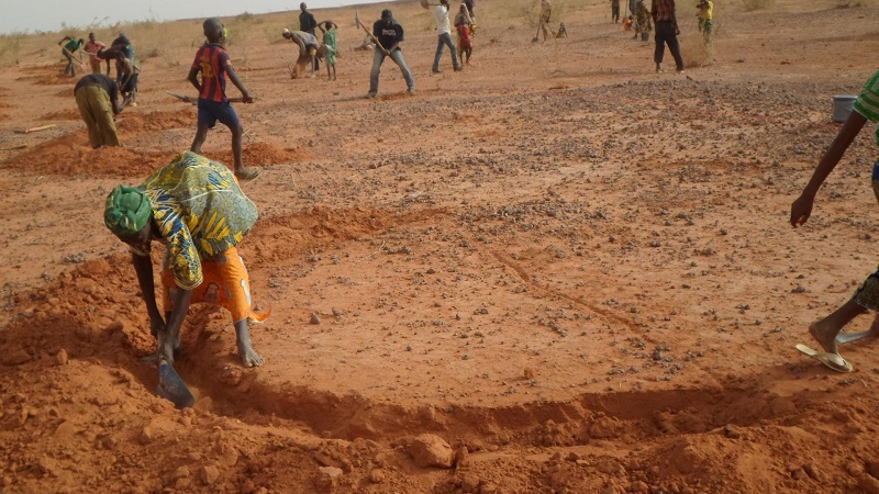 Communities working to restore farming land in in Niger's Ouallam district.