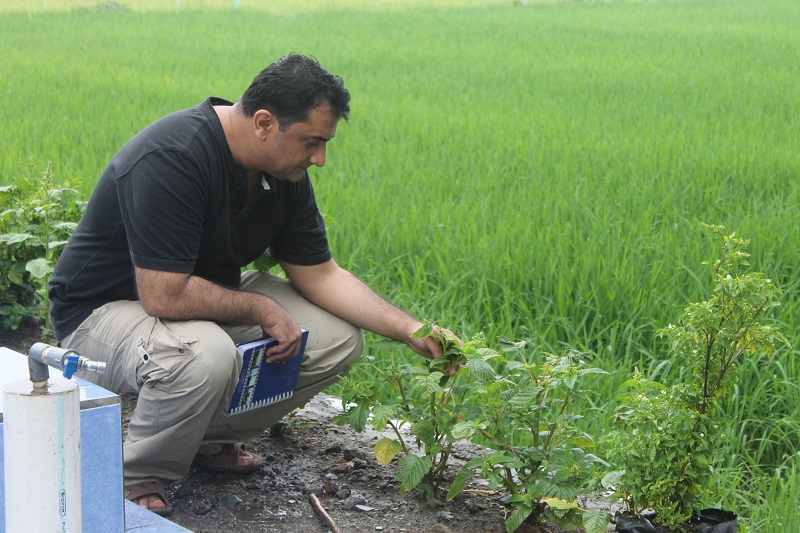 Syed Abdul Razak, Islamic Relief’s country director, examines spinach grown from residual water from a well in Lombok.