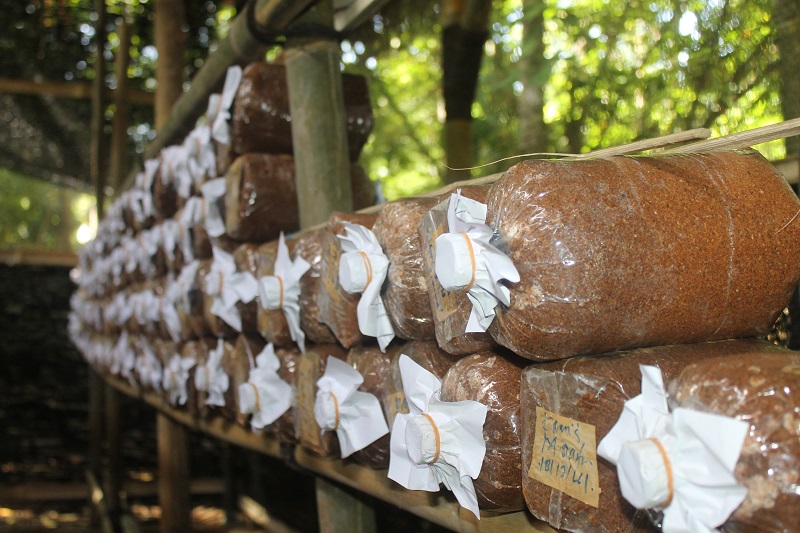 A kilogram mushroom-based products can fetch up to Rp. 150,000.