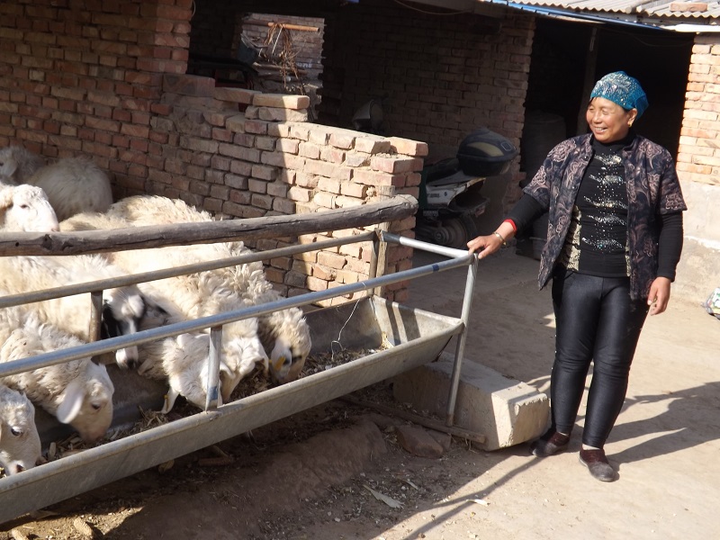 Livestock distributed in Nanbao village.