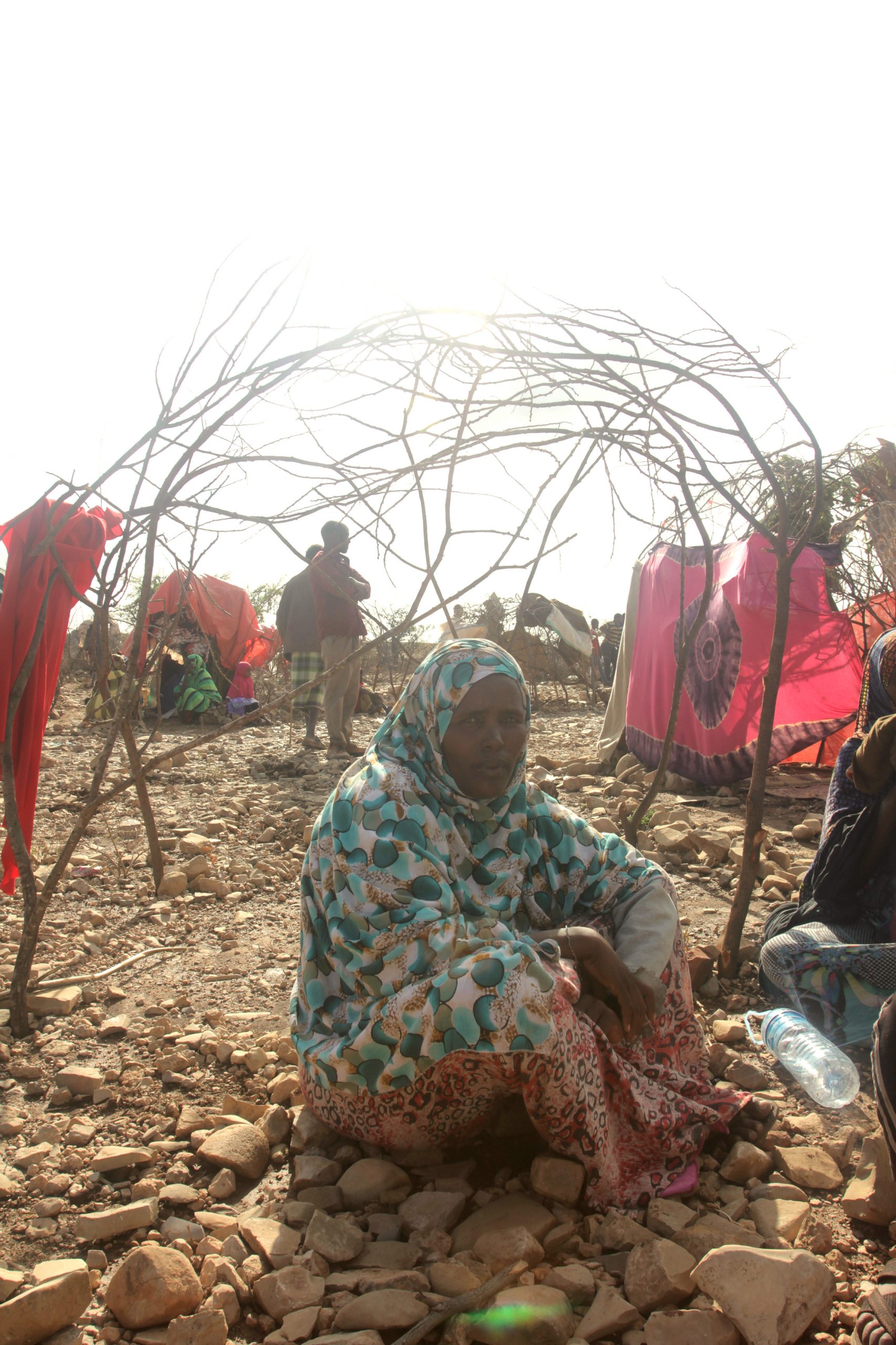 Nimo Mohamed Abdi lives beneath a tent of twigs