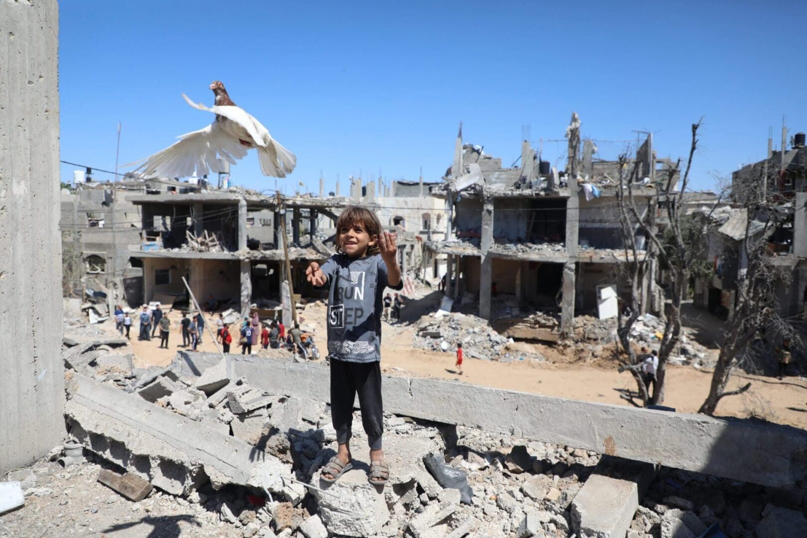 Human rights for all Palestinians - Islamic Relief Worldwide