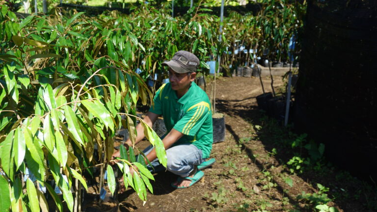 Planting