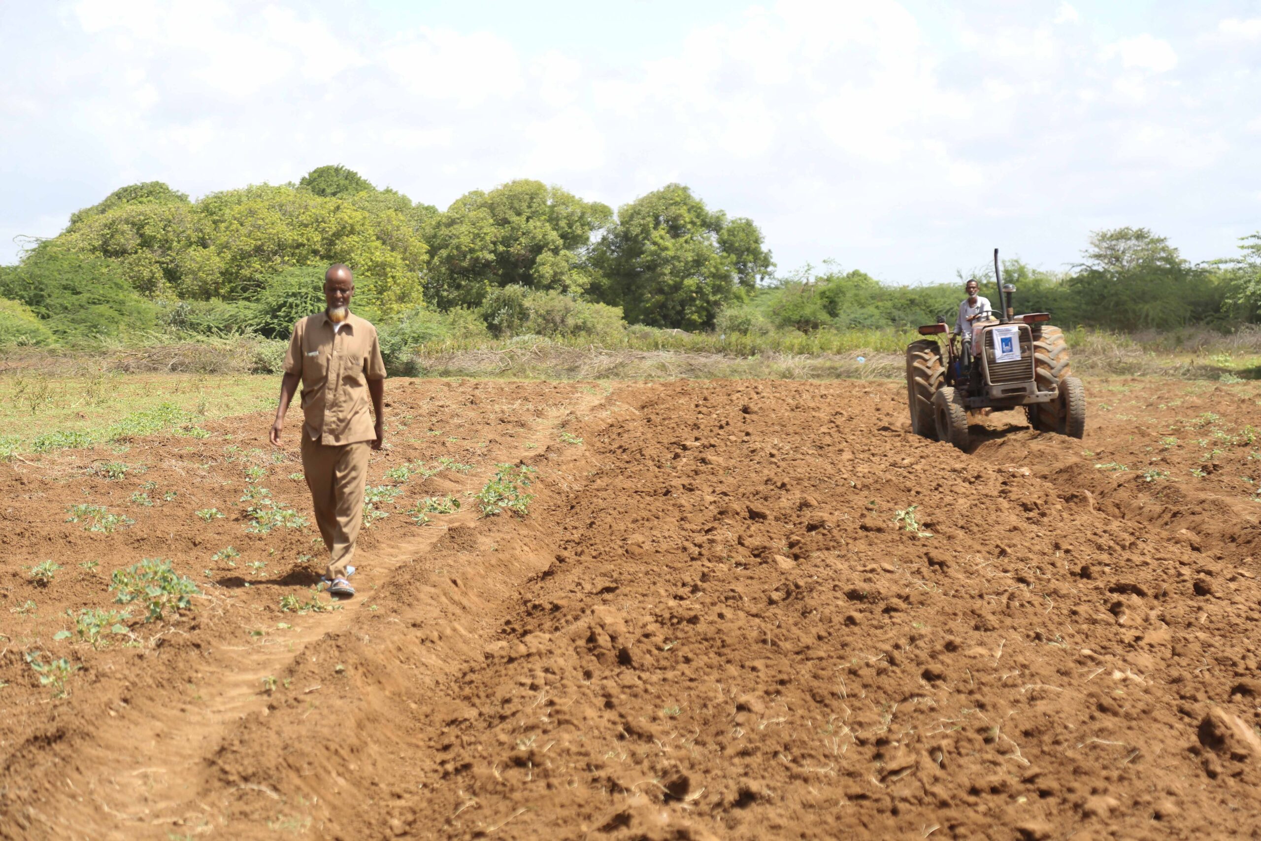 Supporting Somali farmers towards a better harvest - Islamic Relief ...