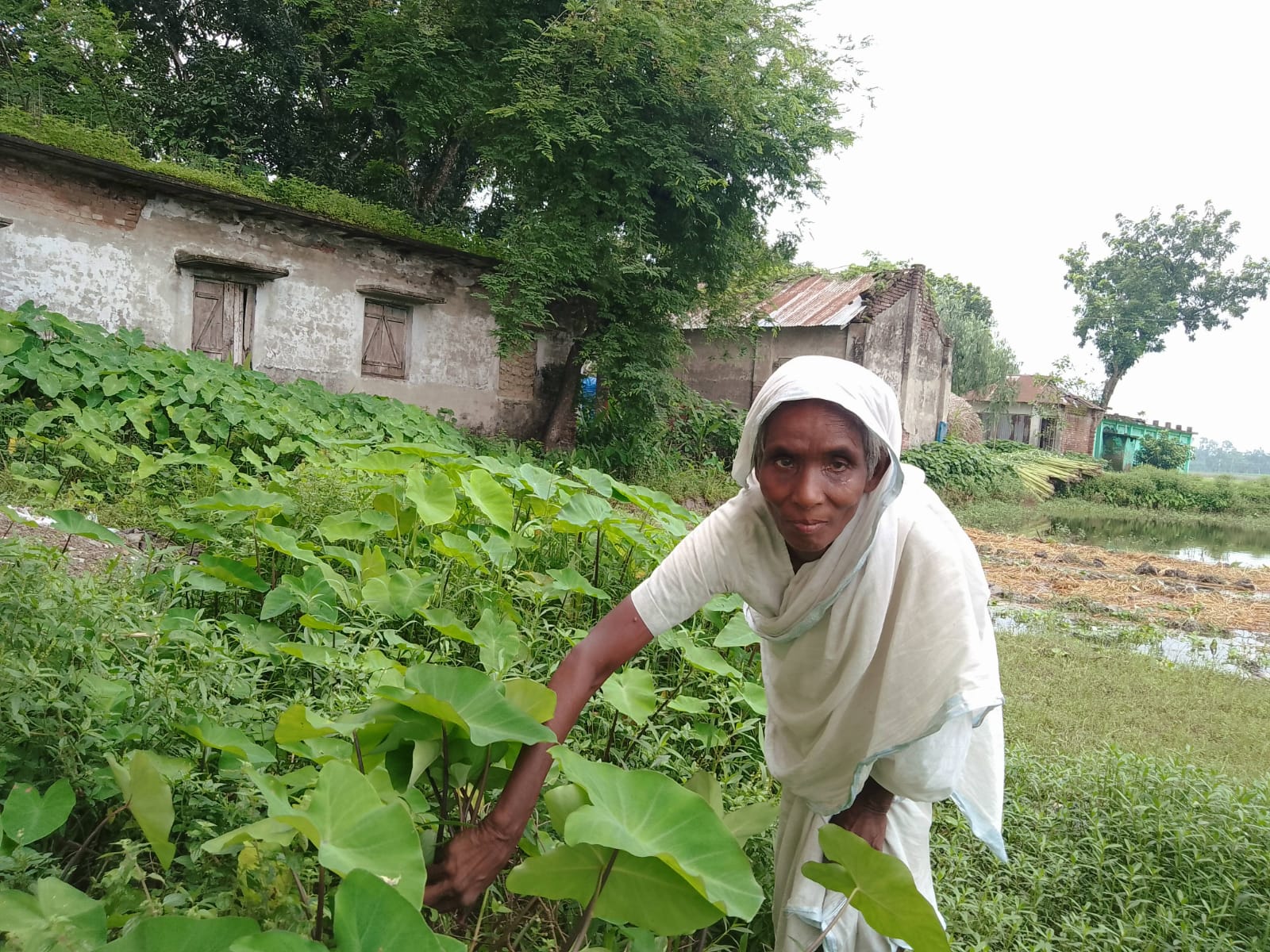 World Sight Day: Sharing the gift of sight in Bangladesh - Islamic ...