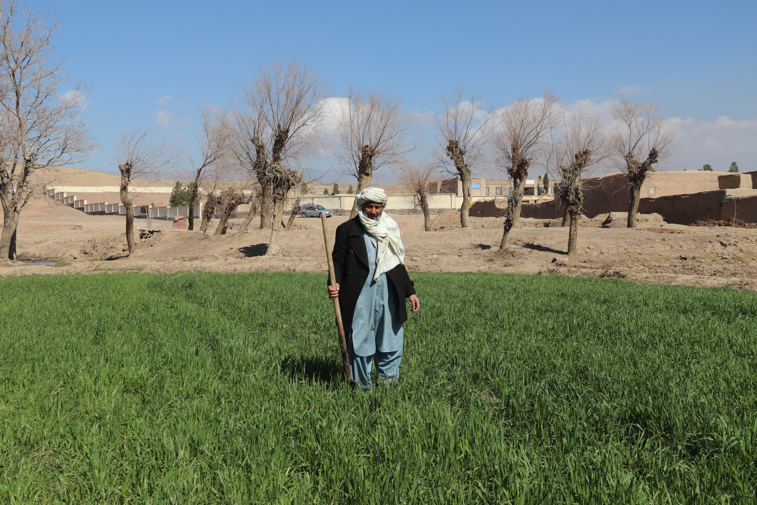 Restoring centuries-old canals boosts incomes and food production in ...