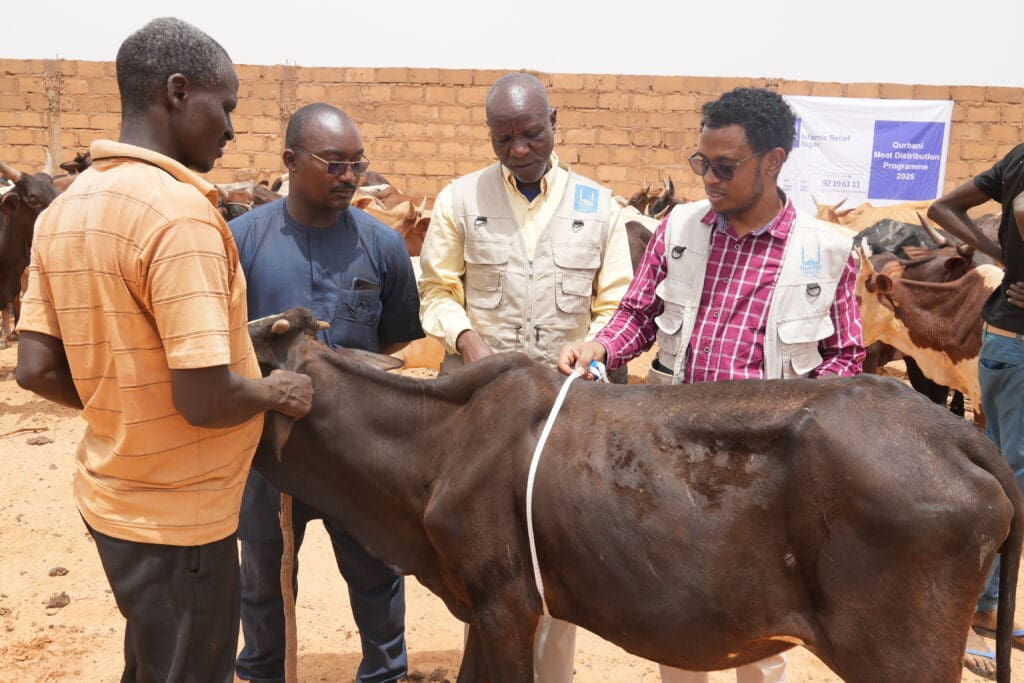 Niger RS483814 DSC00360