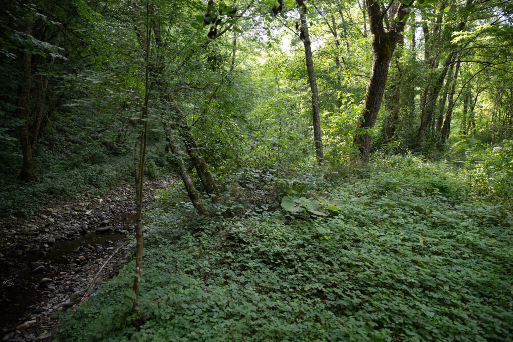 Cerska mass grave
