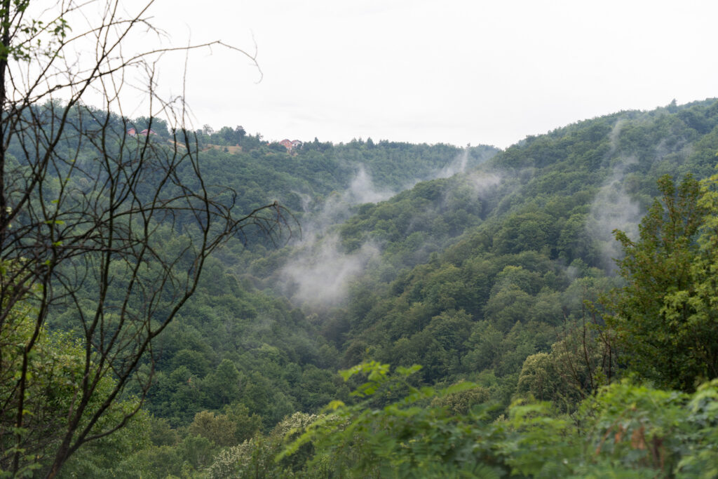 Forests outside of Srebrenica
